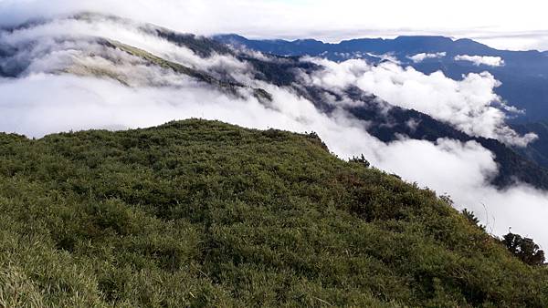 20221109_073525.jpg 20221109_073525.jpg