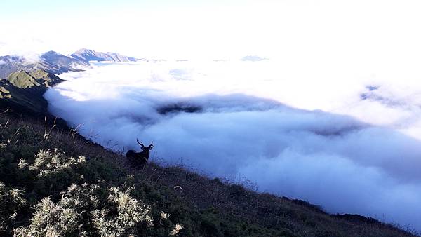 20221109_162707.jpg 20221109_162707.jpg