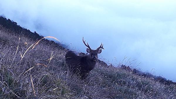 20221109_162751.jpg 20221109_162751.jpg