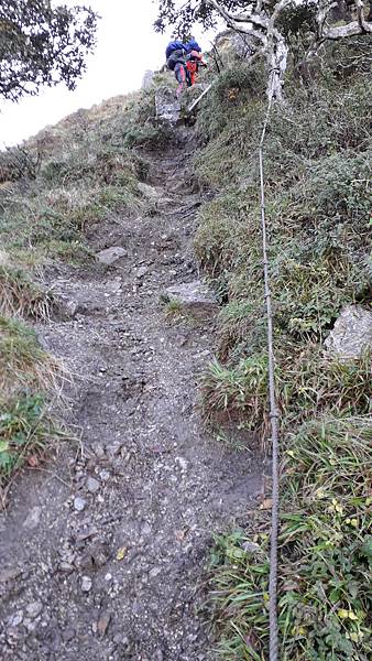 20221110_072914.jpg 20221110_072914.jpg