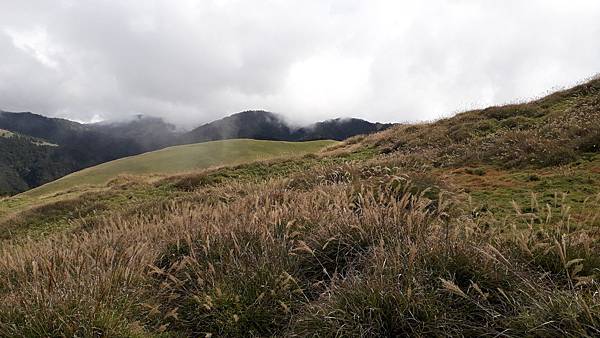 20221110_123907.jpg 20221110_123907.jpg