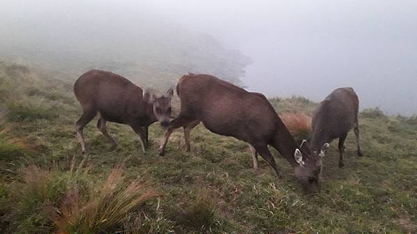 20221110_172602.jpg 20221110_172602.jpg