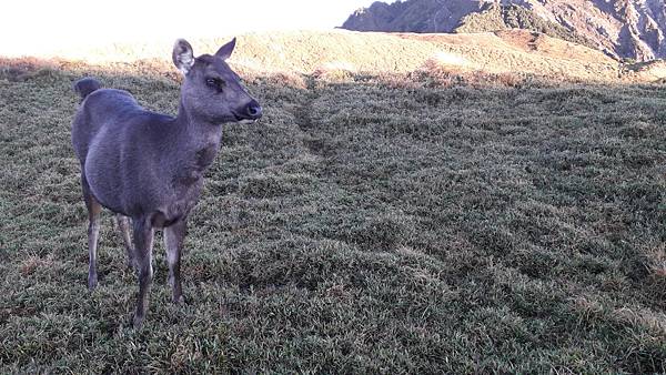 20221111_062425.jpg 20221111_062425.jpg