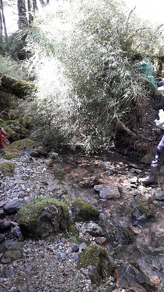 20221111_130726.jpg 20221111_130726.jpg