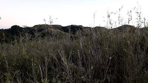 20221112_060109.jpg 20221112_060109.jpg