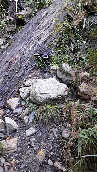 20221112_095928.jpg 20221112_095928.jpg