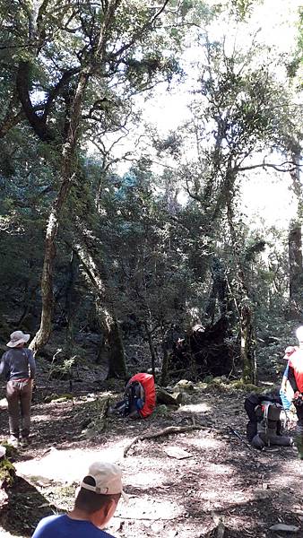 20221112_110412.jpg 20221112_110412.jpg