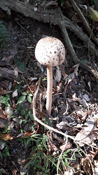 20221112_123951.jpg 20221112_123951.jpg