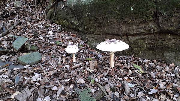 20221112_124824.jpg 20221112_124824.jpg