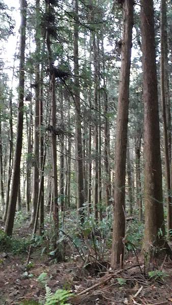 20221113_071402.jpg 20221113_071402.jpg