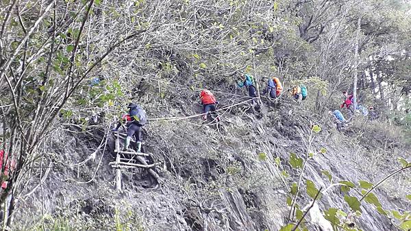 20221113_070428.jpg 20221113_070428.jpg