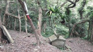 300_038f2428e1db4e1bb66b2de740f8db66.jpg 300_038f2428e1db4e1bb66b2de740f8db66.jpg