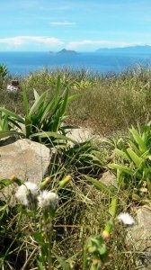 300_17c4100c4af934658b4201fd15d1305c.jpg 300_17c4100c4af934658b4201fd15d1305c.jpg