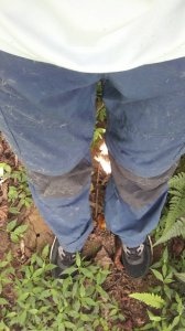 300_be42211ce0b639c8ada32563408c2a08.jpg 300_be42211ce0b639c8ada32563408c2a08.jpg