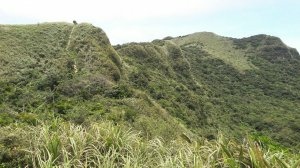 300_bf4461ae9413bbc83d283e60e31856b5.jpg 300_bf4461ae9413bbc83d283e60e31856b5.jpg