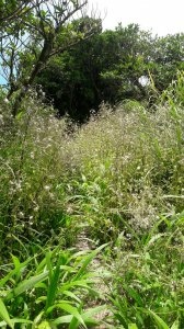 300_e350b0a1b01245d666b13f2bb6f86f39.jpg 300_e350b0a1b01245d666b13f2bb6f86f39.jpg