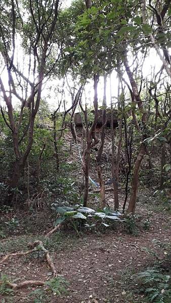 m612x918 (1).jpg m612x918 (1).jpg