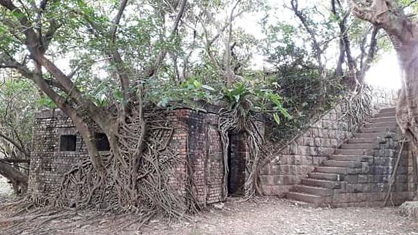 m612x918 (2).jpg m612x918 (2).jpg