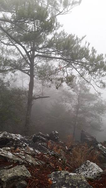 20200101_063244.jpg 20200101_063244.jpg