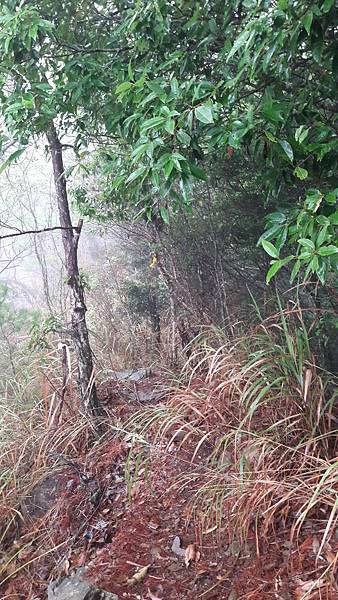 20200101_072929.jpg 20200101_072929.jpg