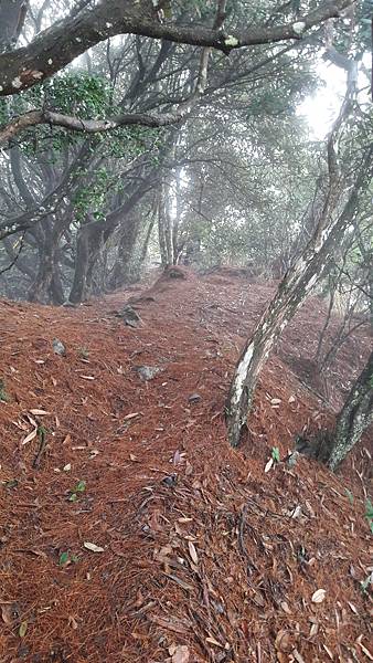 20200101_094248.jpg 20200101_094248.jpg