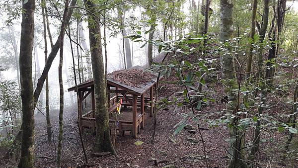 20200101_120644.jpg 20200101_120644.jpg