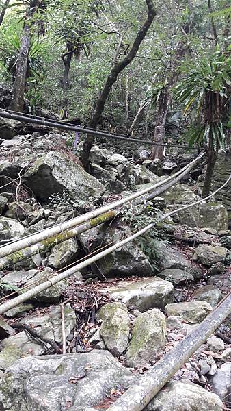 20200101_130902.jpg 20200101_130902.jpg