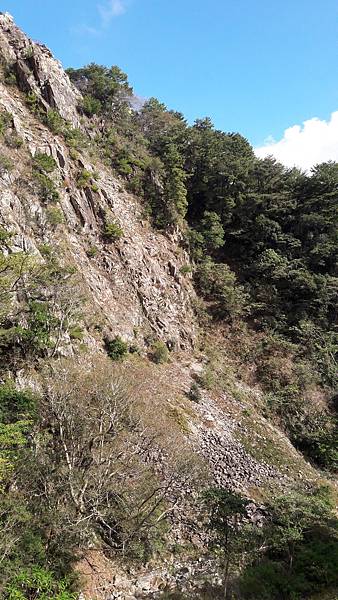 20200101_131958.jpg 20200101_131958.jpg