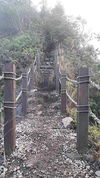 20200101_162838.jpg 20200101_162838.jpg