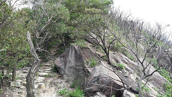 109642.jpg 109642.jpg