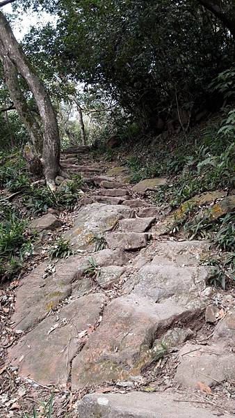 109641.jpg 109641.jpg