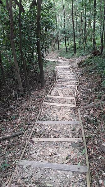 109650.jpg 109650.jpg