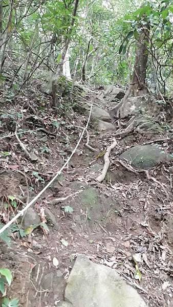 m612x918 (1).jpg m612x918 (1).jpg