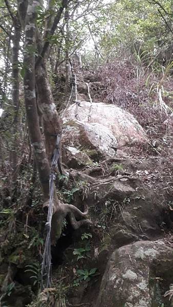 m612x918 (2).jpg m612x918 (2).jpg