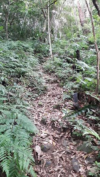 m612x918.jpg m612x918.jpg