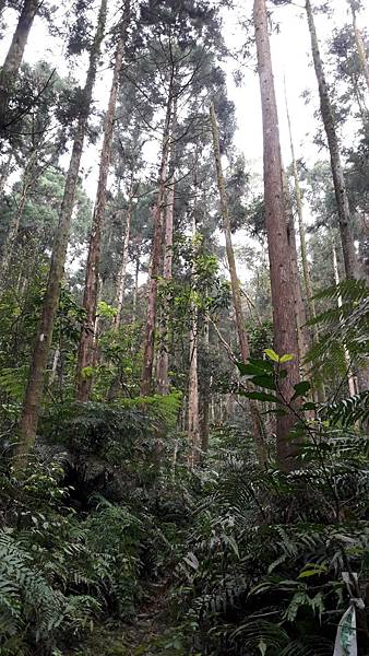 110313.jpg 110313.jpg