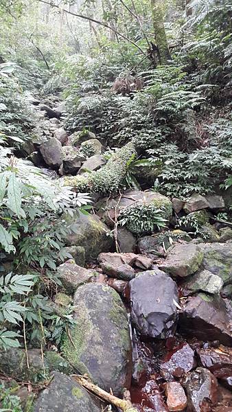 110314.jpg 110314.jpg