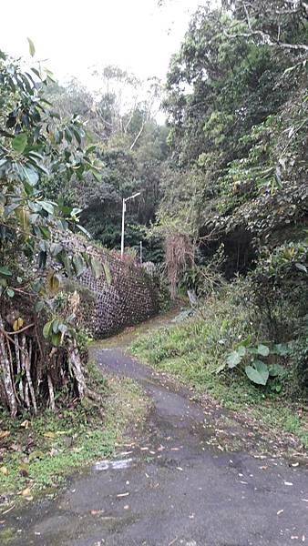 110312.jpg 110312.jpg