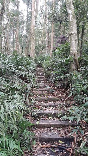 110315.jpg 110315.jpg