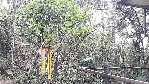 110317.jpg 110317.jpg