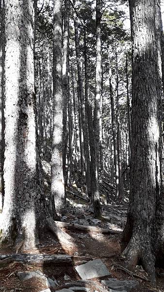 20230504_072907.jpg 20230504_072907.jpg