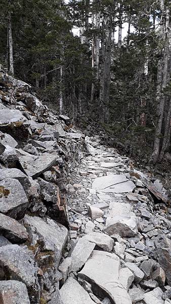 20230504_074707.jpg 20230504_074707.jpg