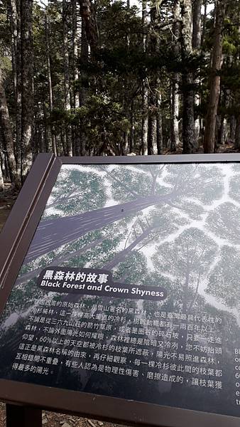 20230504_082009.jpg 20230504_082009.jpg