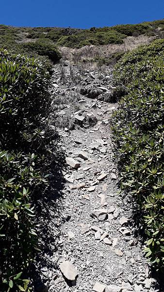 20230504_110206.jpg 20230504_110206.jpg