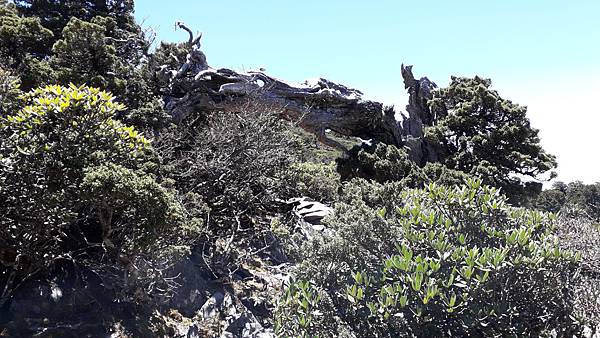 20230504_125042.jpg 20230504_125042.jpg