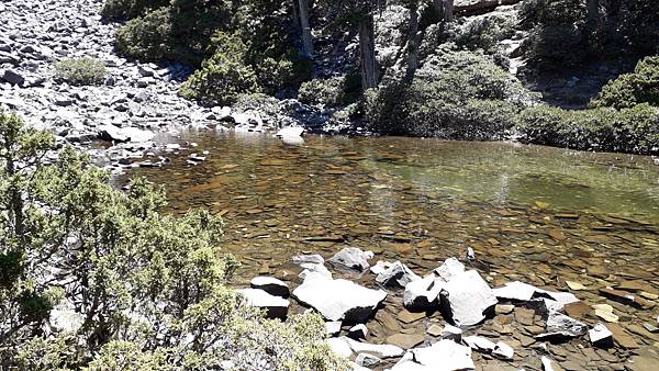 20230504_131644.jpg 20230504_131644.jpg