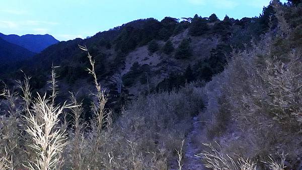 20230505_050254.jpg 20230505_050254.jpg