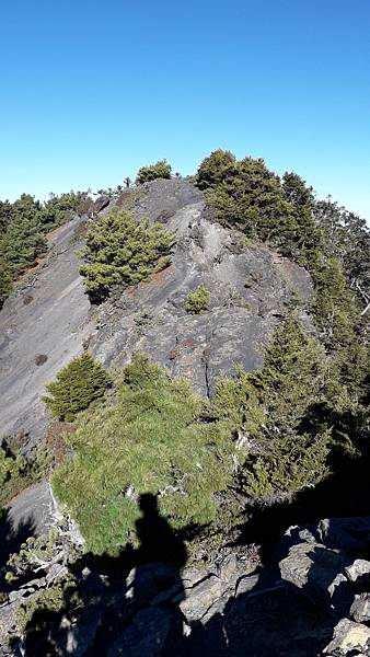 20230505_073634.jpg 20230505_073634.jpg