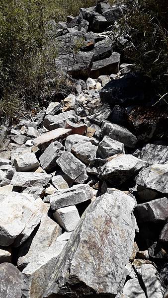 20230505_095005.jpg 20230505_095005.jpg