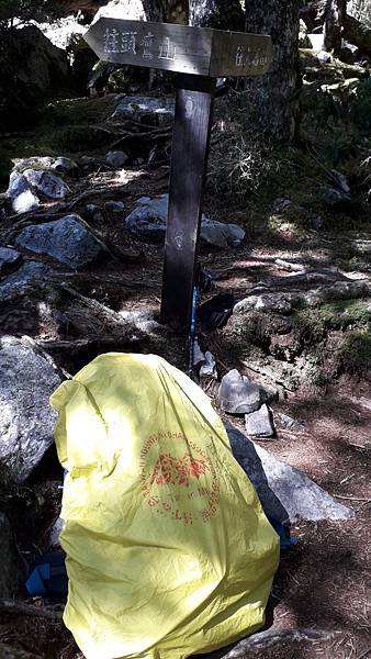 20230505_091408.jpg 20230505_091408.jpg